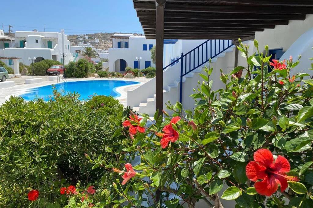 Pigeon House Ornos Beach Mykonos Town Buitenkant foto